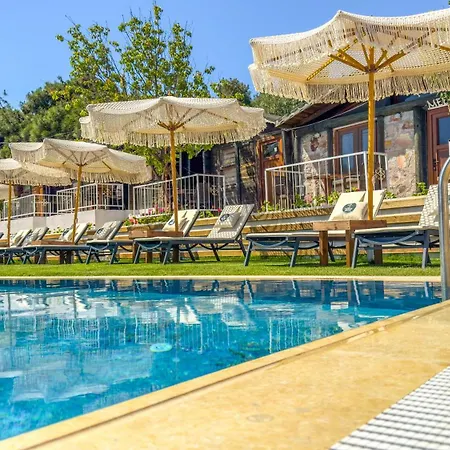 Couette-café Gaia *