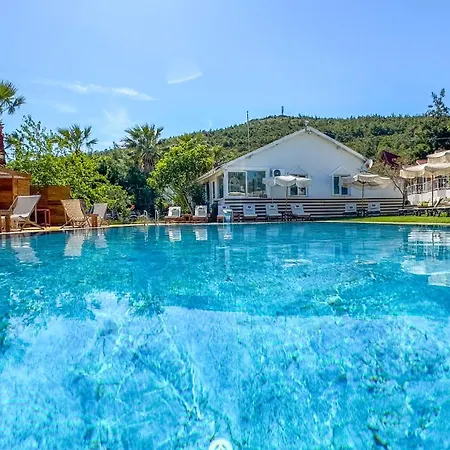 Gaia Bed & Breakfast Ayvalı